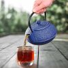 Classic Stylish Japanese -style Cast Iron Teapot With 304 Stainless Steel Infuser For Loose Leaf Tea